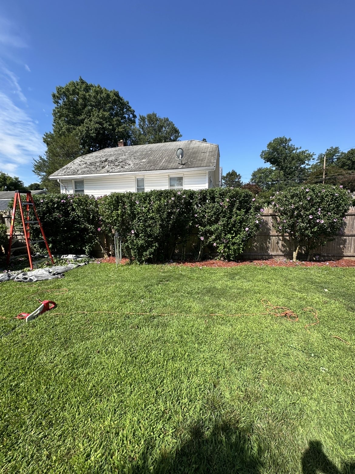 Backyard lawn edged along a trimmed flowering hedge line — hedge trimming in Westchester County, NY