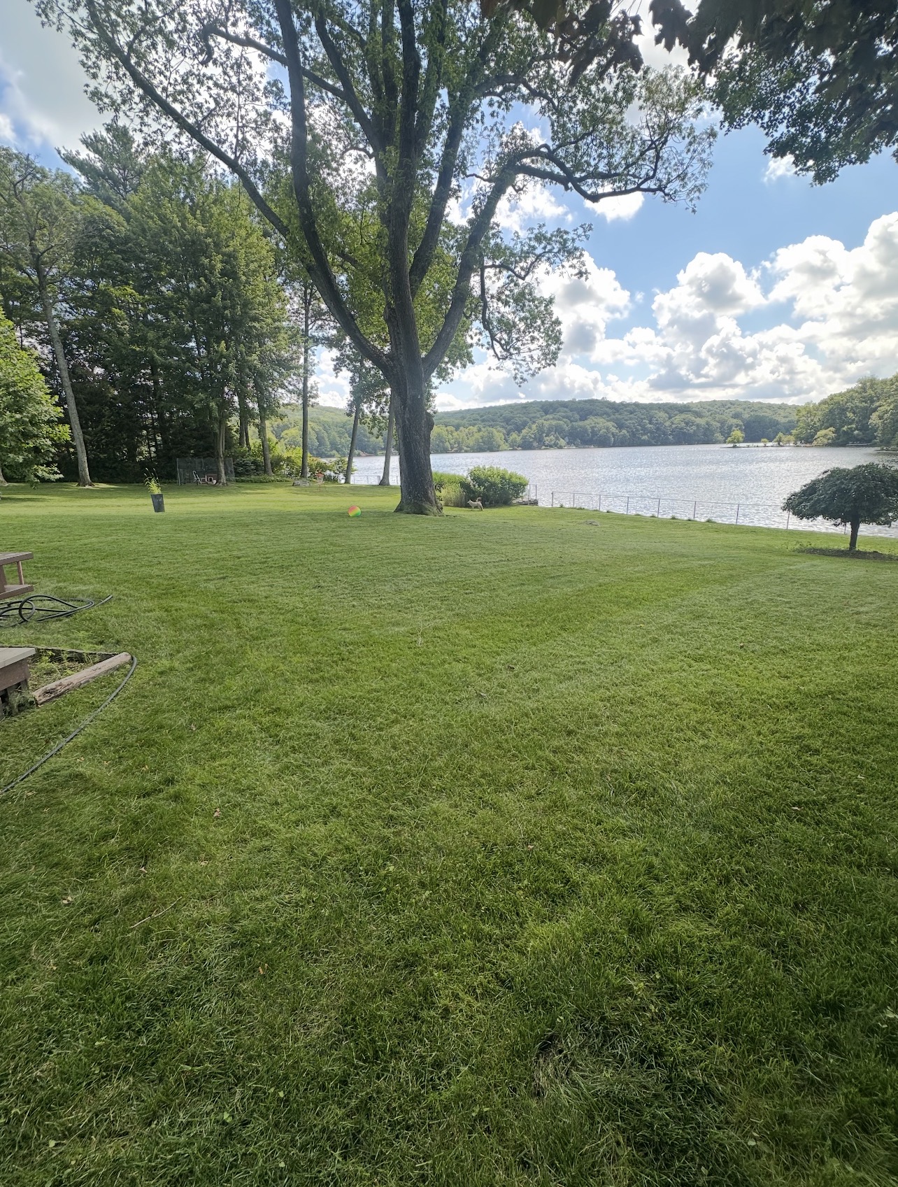 Freshly mowed lakefront lawn with striped mowing pattern