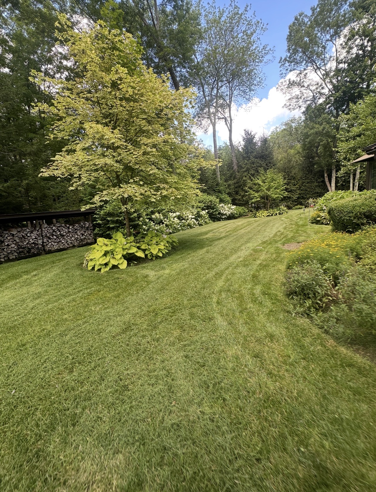 Freshly mowed wooded backyard lawn with striped mowing pattern and garden beds